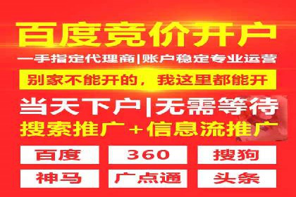 电商信息流广告推广成功案例分享
